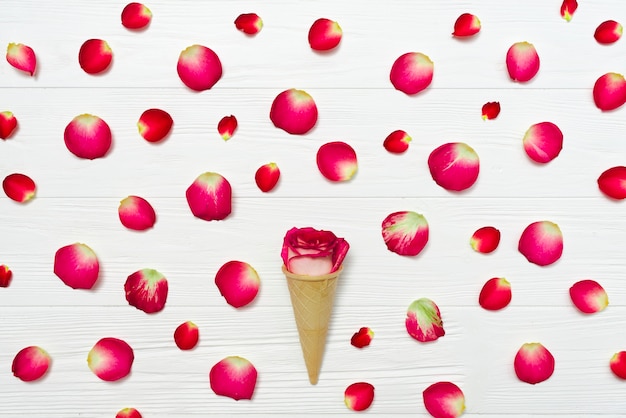 Cono con rosa en medio de pétalos