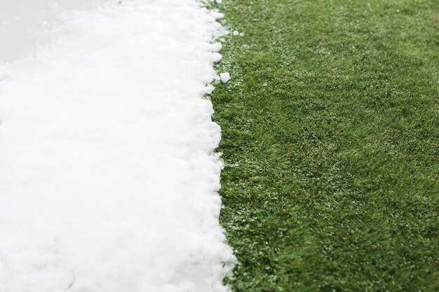 Conocer la nieve blanca y la hierba verde de cerca, entre el fondo del concepto de invierno y primavera. Imagen conceptual sobre la primavera.