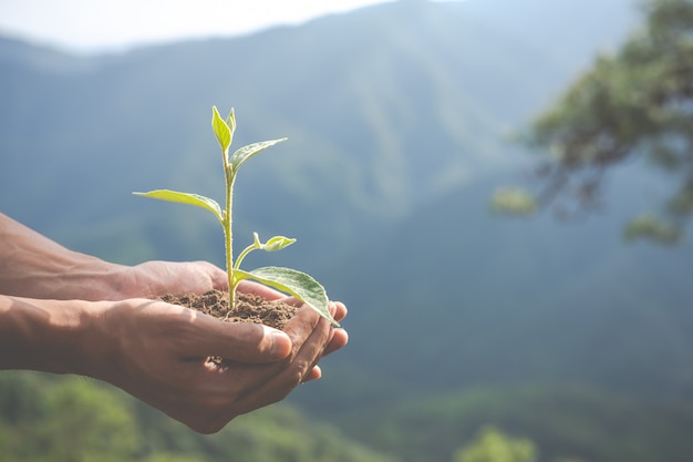 Foto gratuita conservación ambiental en el jardín para niños.