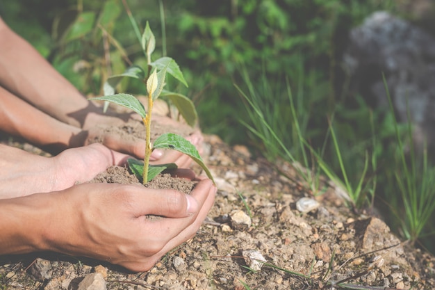 conservación ambiental en el jardín para niños.