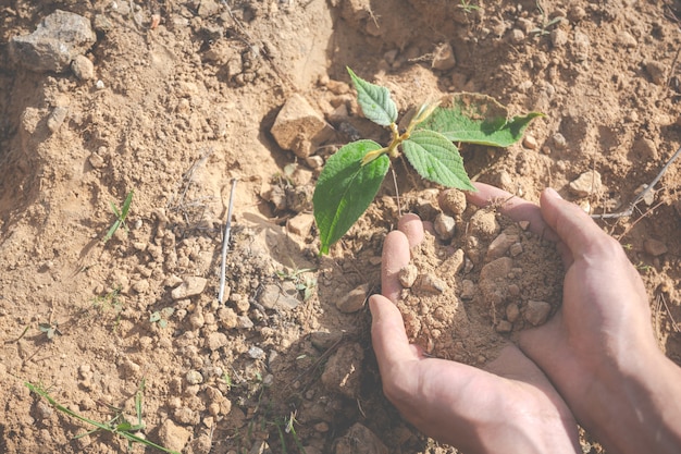 conservación ambiental en el jardín para niños.