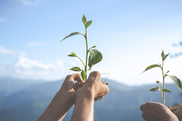 conservación ambiental en el jardín para niños.