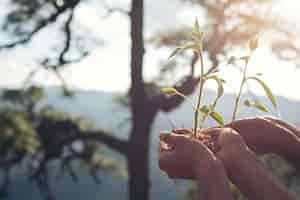 Foto gratuita conservación ambiental en el jardín para niños.