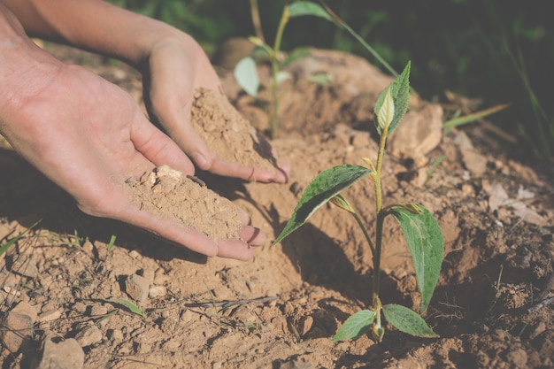 Foto gratuita conservación ambiental en el jardín para niños.