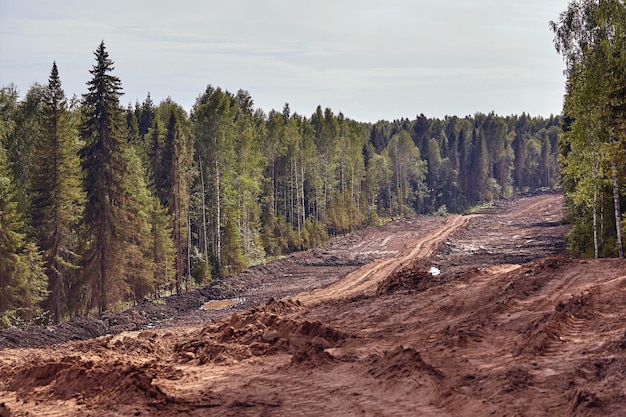 Construcción de la ruta por el bosque. llamarada del sol, destello solar