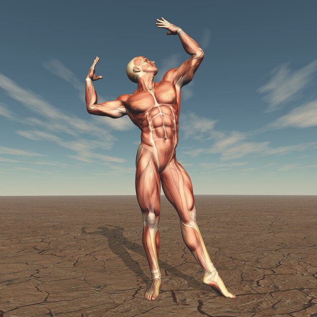 Constructor de cuerpo masculino 3D con mapa muscular en paisaje árido