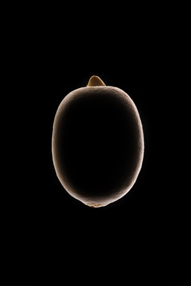 Foto gratuito contorno de limón sobre negro