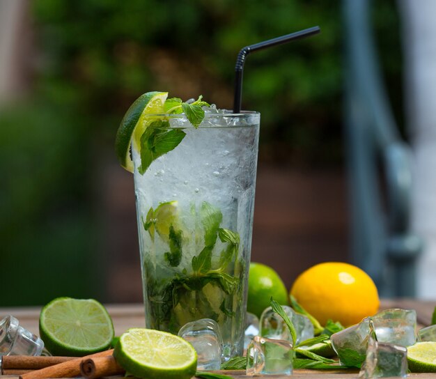 Copa de cóctel de mojito con trozos de hielo, hojas de menta fresca y rodajas de limón con tubo