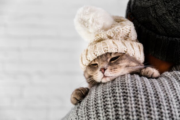 Copia-espacio lindo gato con gorra de piel en invierno