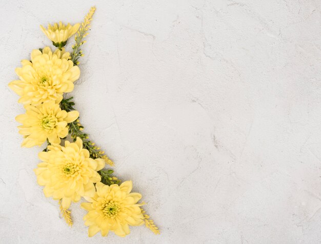 Foto gratuita copia espacio primavera rama de flores de gerbera