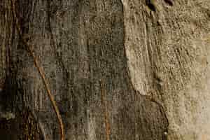 Foto gratuita copia espacio textura de árbol oxidado de madera