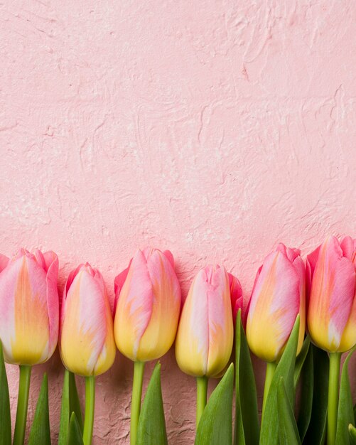 Copia espacio tulipanes alineados en la mesa