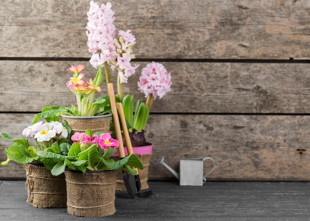 Foto gratuita copiar espacio macetas de flores