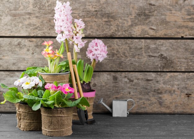 Copiar espacio macetas de flores