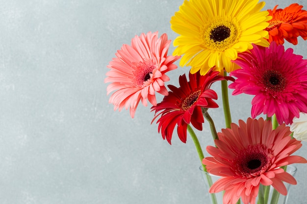 Copiar el fondo del espacio con flores de gerbera