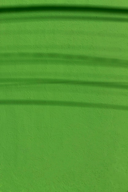Copie el espacio pintado de verde muro de hormigón