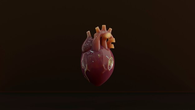 Corazón anatómico con fondo marrón.