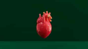 Foto gratuita corazón anatómico rojo con fondo verde.