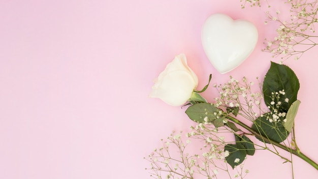 Corazón decorativo blanco cerca de plantas y flor.