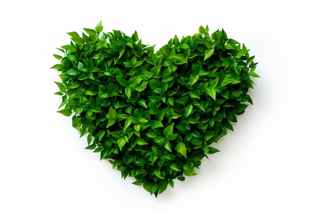 Foto gratuita un corazón en la naturaleza verde aislado sobre fondo blanco.