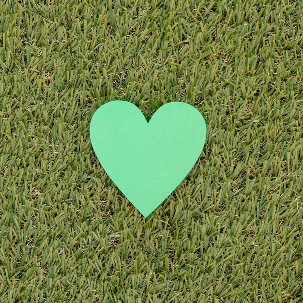 Corazón de papel verde sobre hierba