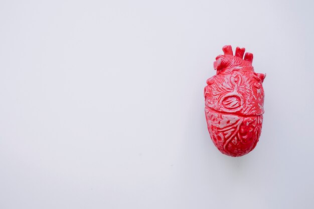 Corazón realista con espacio para copiar