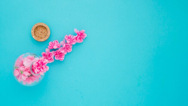 Corcho cerca de jarrón con flores rosadas