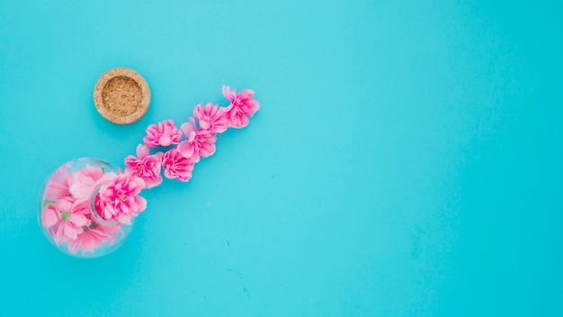 Corcho cerca de jarrón con flores rosadas