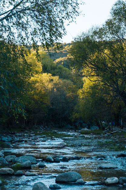 Corriente de agua corriendo en el hermoso paisaje de otoño