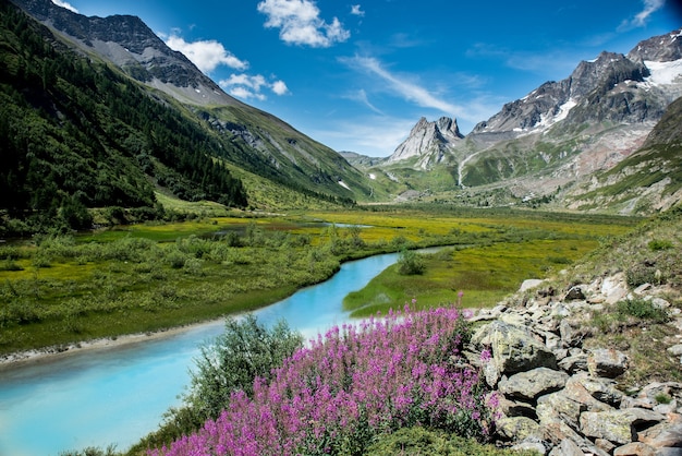 Corriente de agua rodeada de montañas y flores en un día soleado