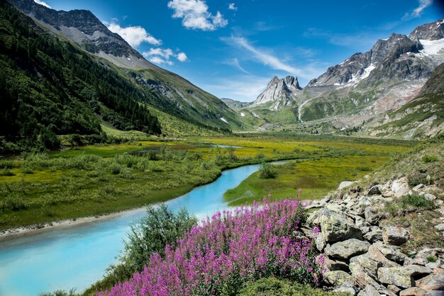 Corriente de agua rodeada de montañas y flores en un día soleado