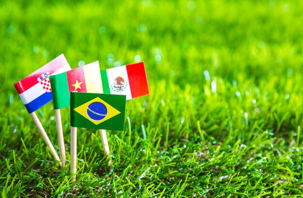 Corte del papel de las banderas en el césped para el campeonato de fútbol 2014