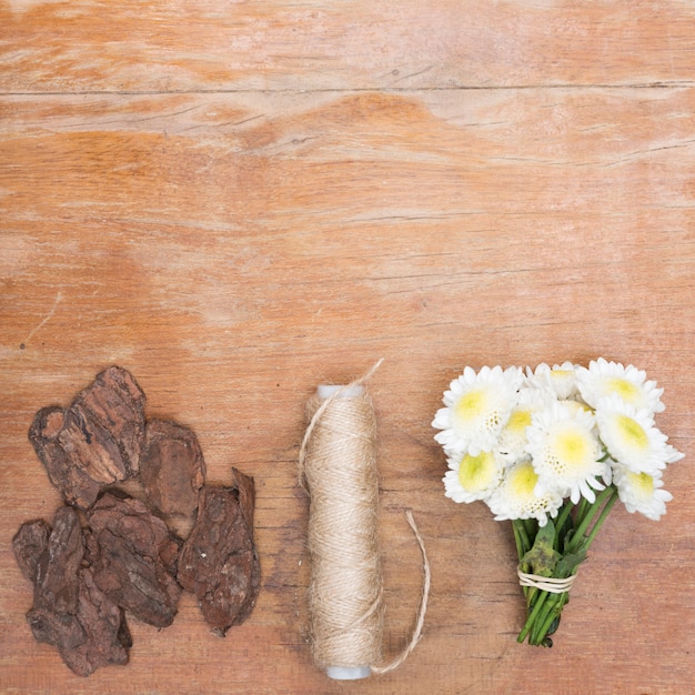 Foto gratuita cosas naturales