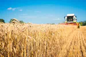 Foto gratuita cosechadora trabajando en el campo de trigo