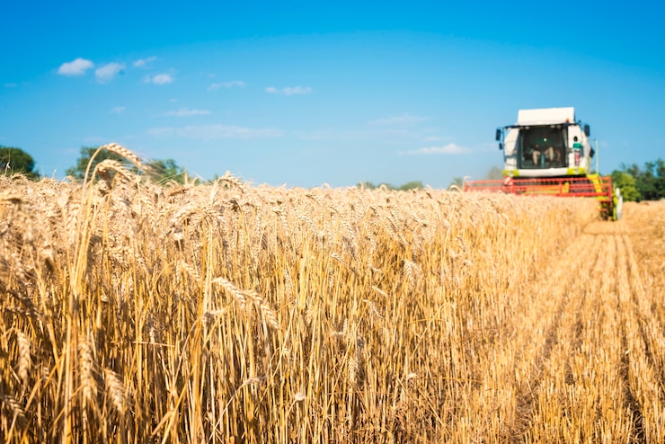 Foto gratuito cosechadora trabajando en el campo de trigo