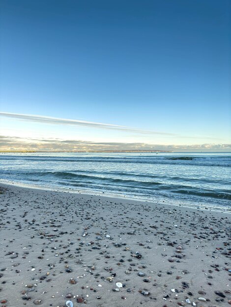 Costa del mar con conchas marinas y olas de textura paisaje marino