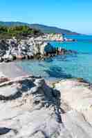 Foto gratuita costa del mar egeo con vegetación alrededor, rocas, arbustos y árboles, agua azul, grecia