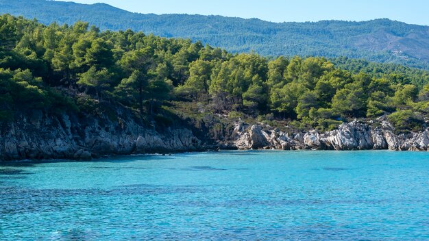 Costa del mar Egeo con vegetación alrededor, rocas, arbustos y árboles, agua azul, Grecia
