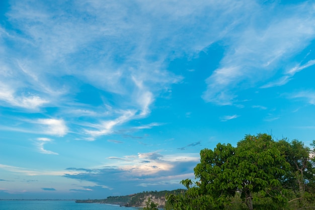 Foto gratuita costa del océano en bali