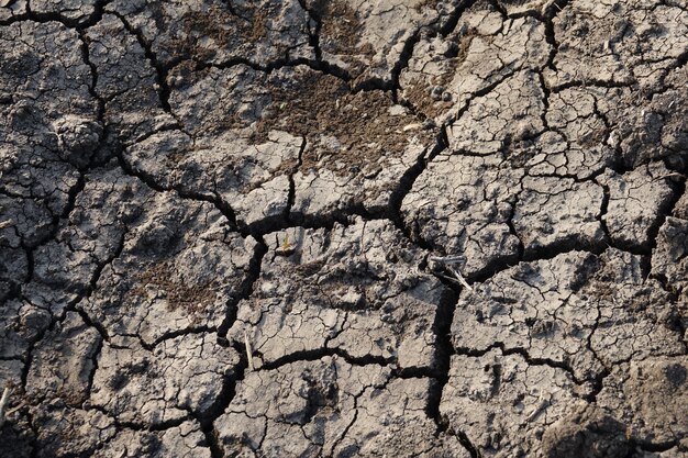 Cracked earth soil