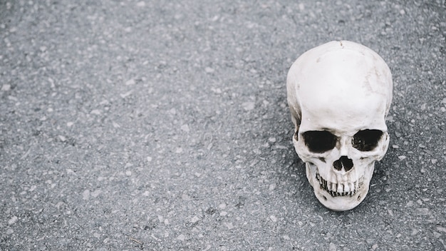 Cráneo artificial de hombre acostado en el asfalto en el lado