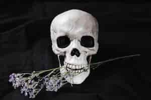 Foto gratuita cráneo con flores en la boca