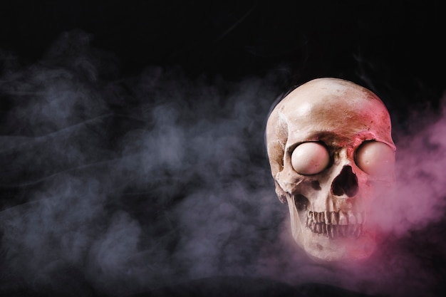 Foto gratuita cráneo con globos oculares blancos en humo rosa
