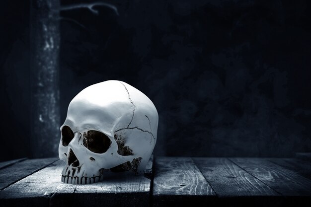 Cráneo humano en mesa de madera con fondo oscuro