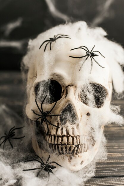 Cráneo humano con tela artificial y arañas