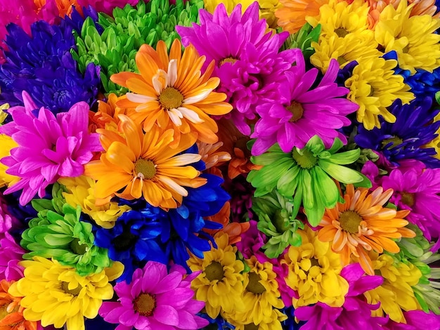 Imágenes de Flores Colores - Descarga gratuita en Freepik