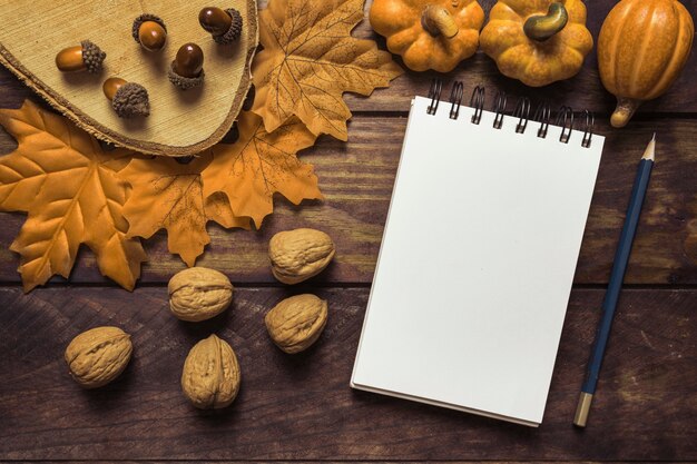 Cuaderno y nueces en la hermosa composición de otoño