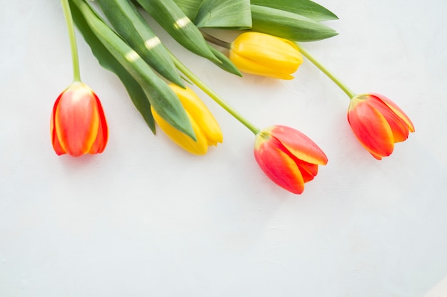Cuatro flores de tulipán en mesa blanca