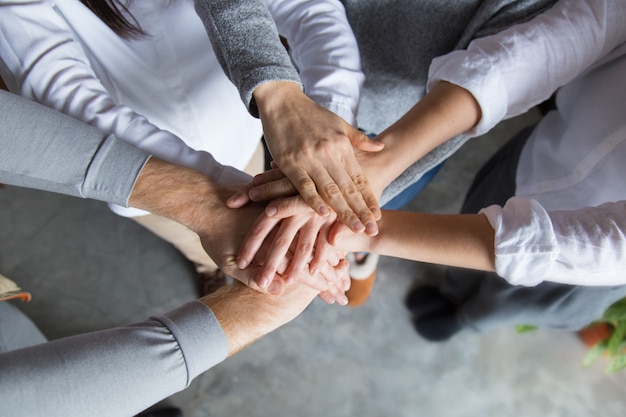 Foto gratuita cuatro miembros del equipo expresando unidad