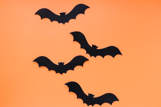 Cuatro murciélagos preparados para Halloween